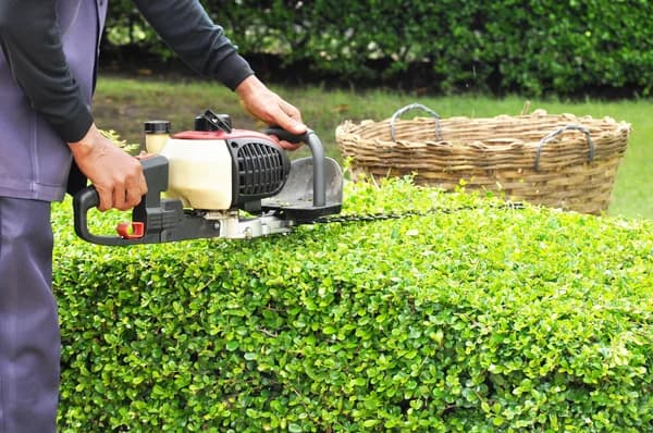 Landscaping & Hardscaping